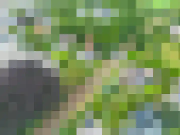 Kerkpad NZ 10 Soest thumbnail 29