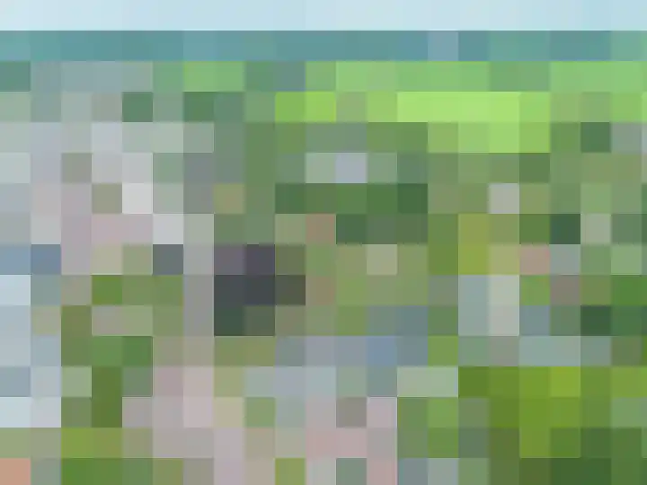 Kerkpad NZ 10 Soest thumbnail 30