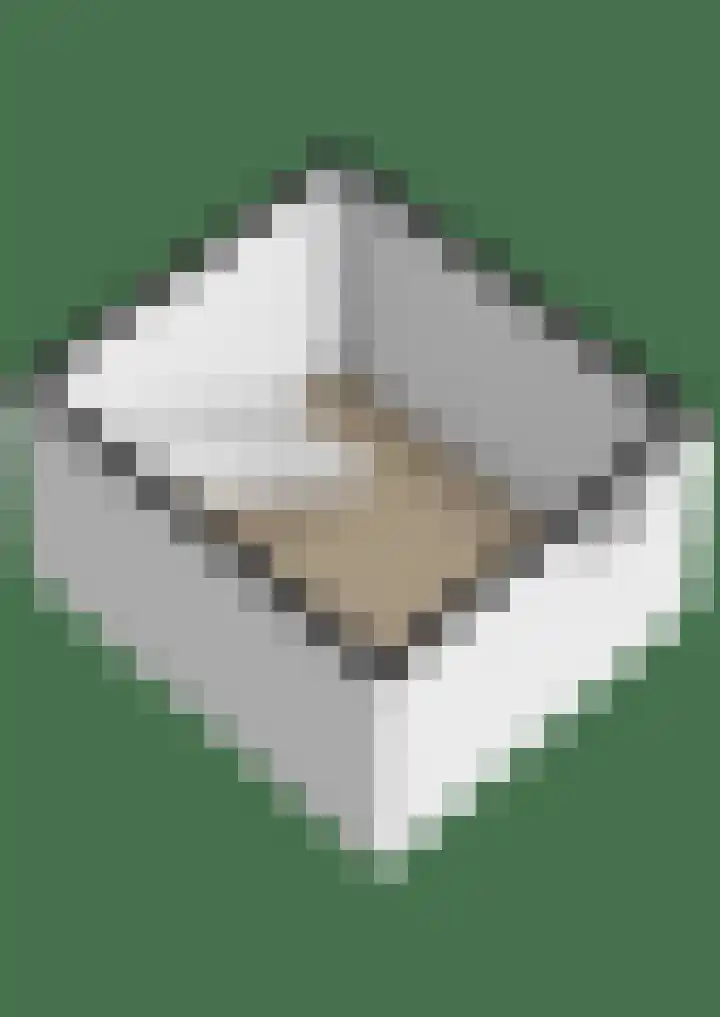 Kerkpad NZ 10 Soest thumbnail 36