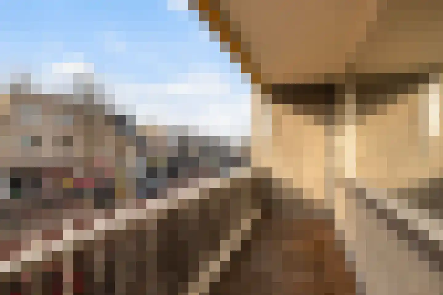 Kerkpad NZ 2 A Soest thumbnail 7