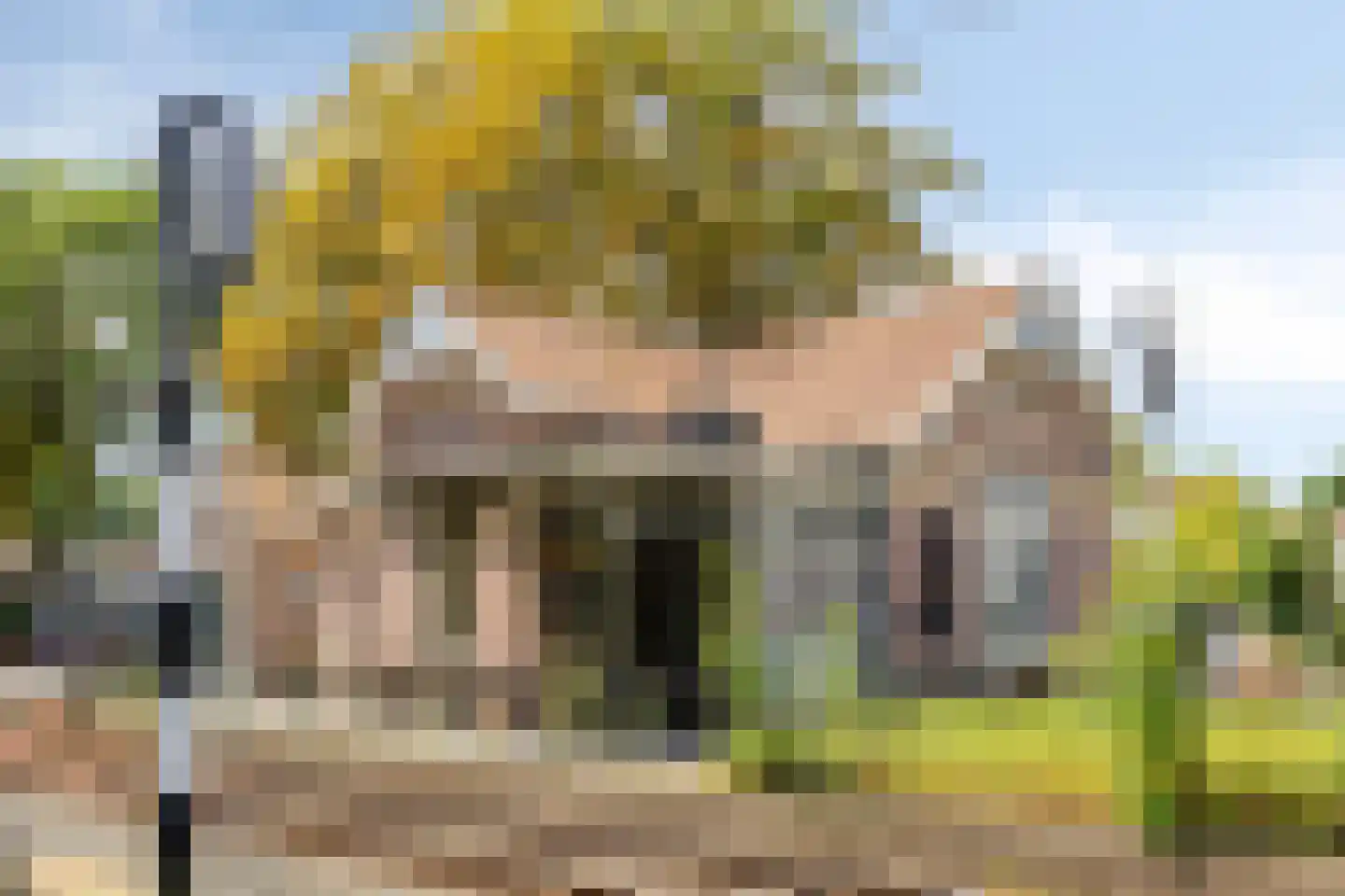Kerkpad NZ 2 Soest thumbnail 24
