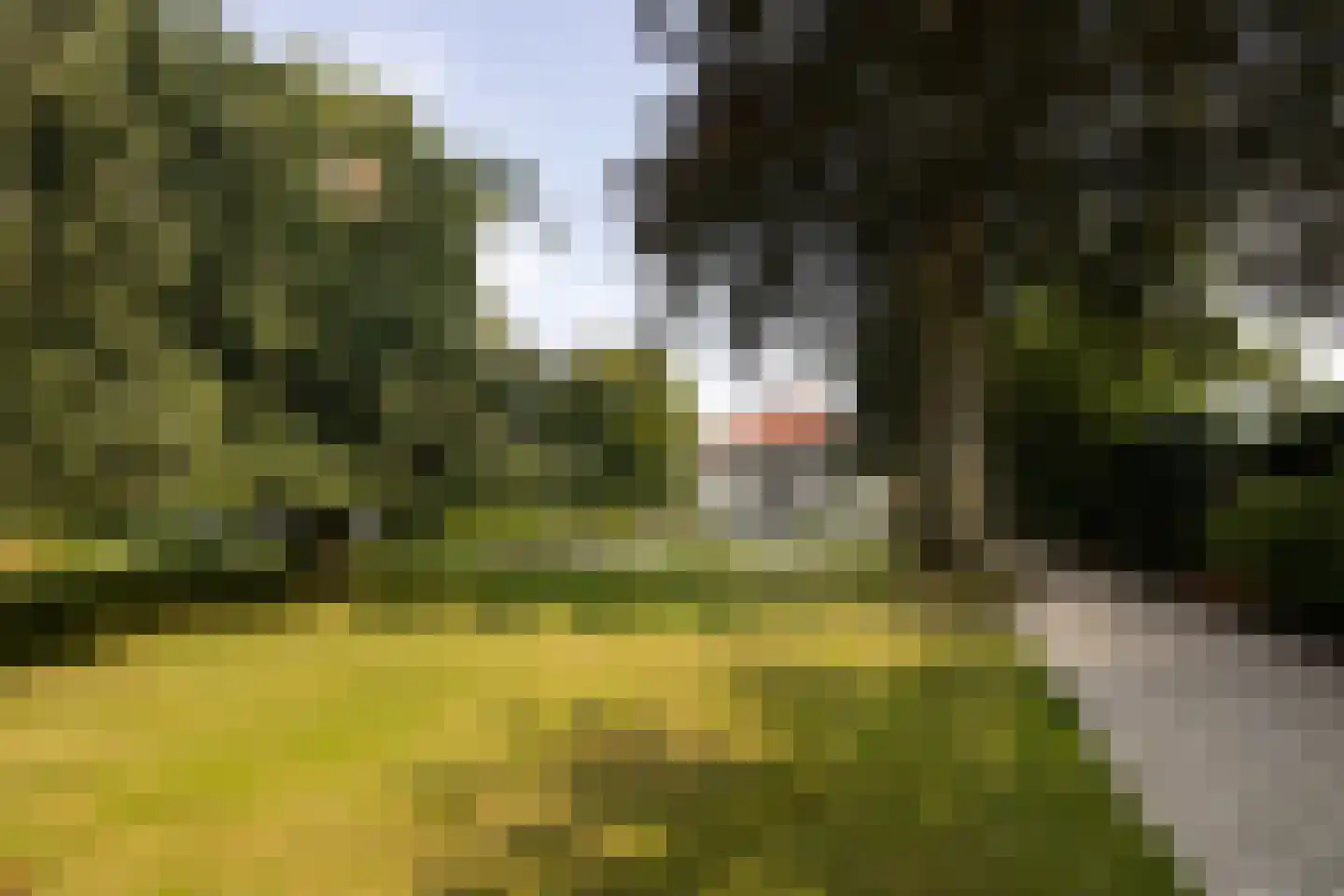 Kerkpad NZ 35 Soest thumbnail 66