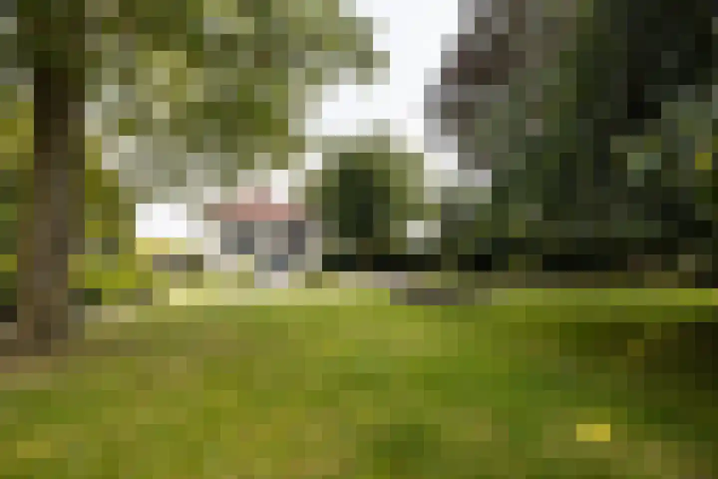 Kerkpad NZ 35 Soest thumbnail 67