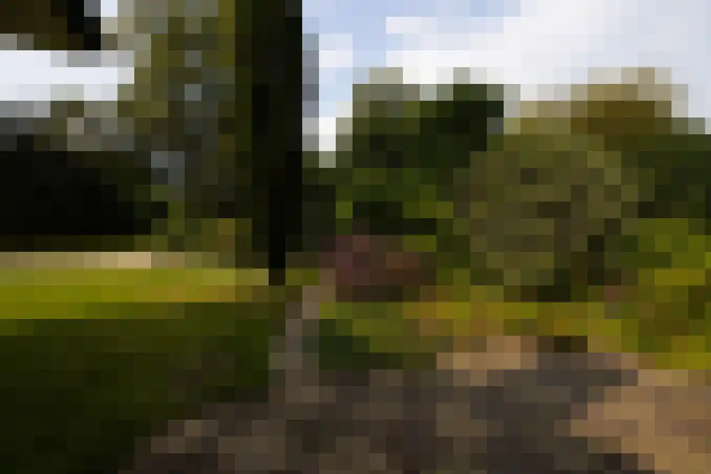 Kerkpad NZ 35 Soest thumbnail 83