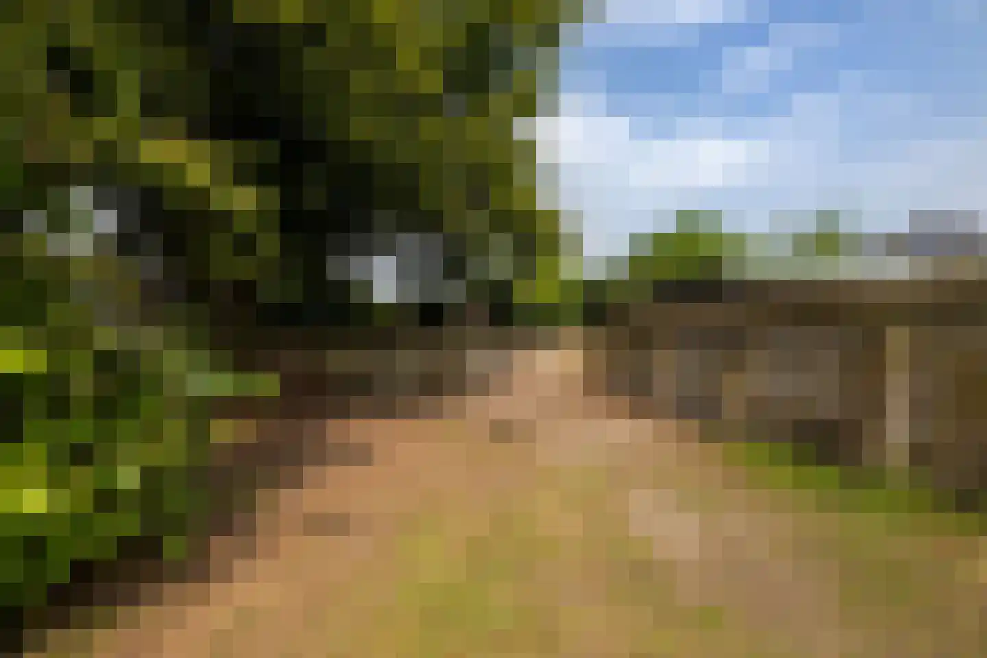 Kerkpad NZ 35 Soest thumbnail 85