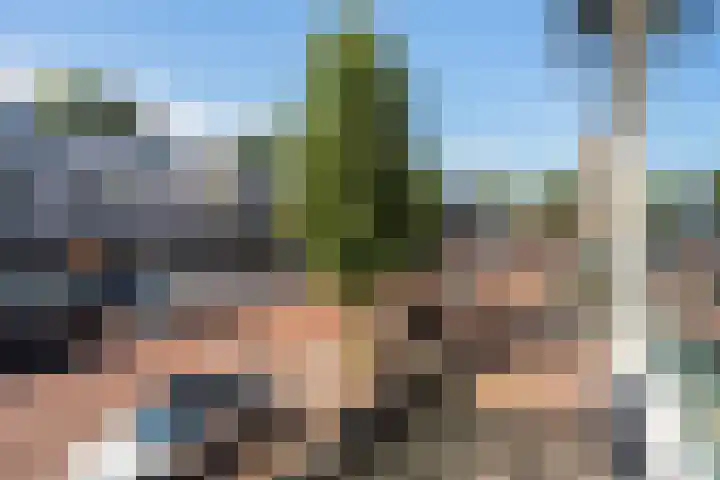 Kerkpad NZ 4 A Soest thumbnail 15