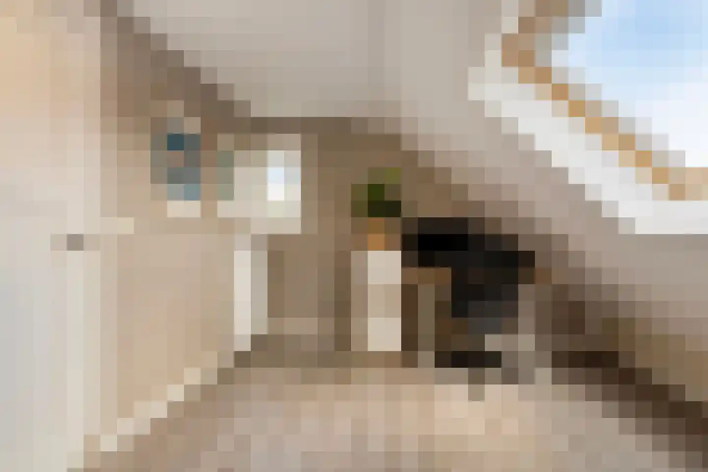 Kerkpad NZ 42 Soest thumbnail 31