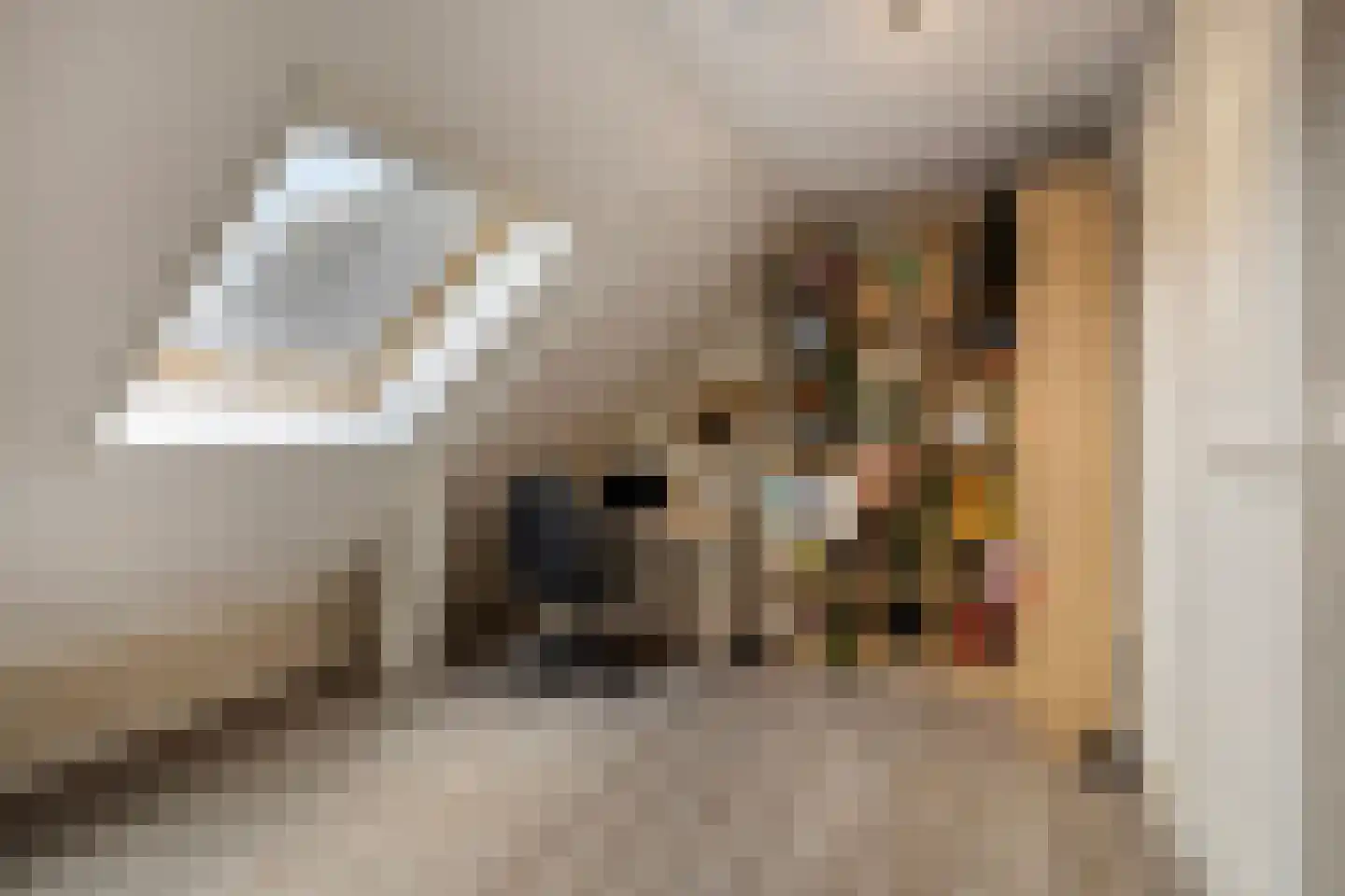 Kerkpad NZ 42 Soest thumbnail 32