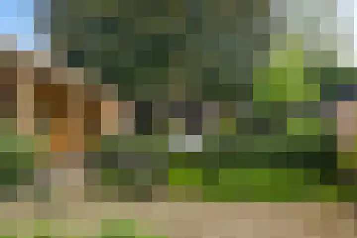 Kerkpad ZZ 22 B Soest thumbnail 24