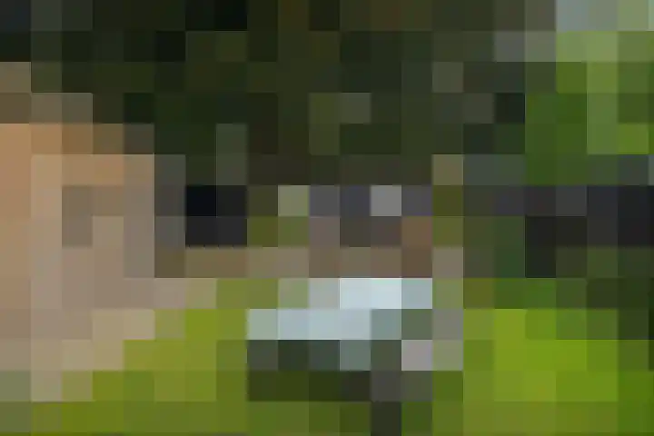 Kerkpad ZZ 22 B Soest thumbnail 26