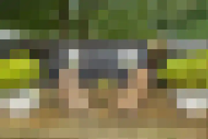 Kerkpad ZZ 22 B Soest thumbnail 28