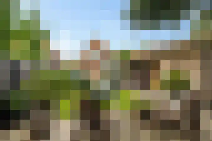 Kerkpad ZZ 22 B Soest thumbnail 29