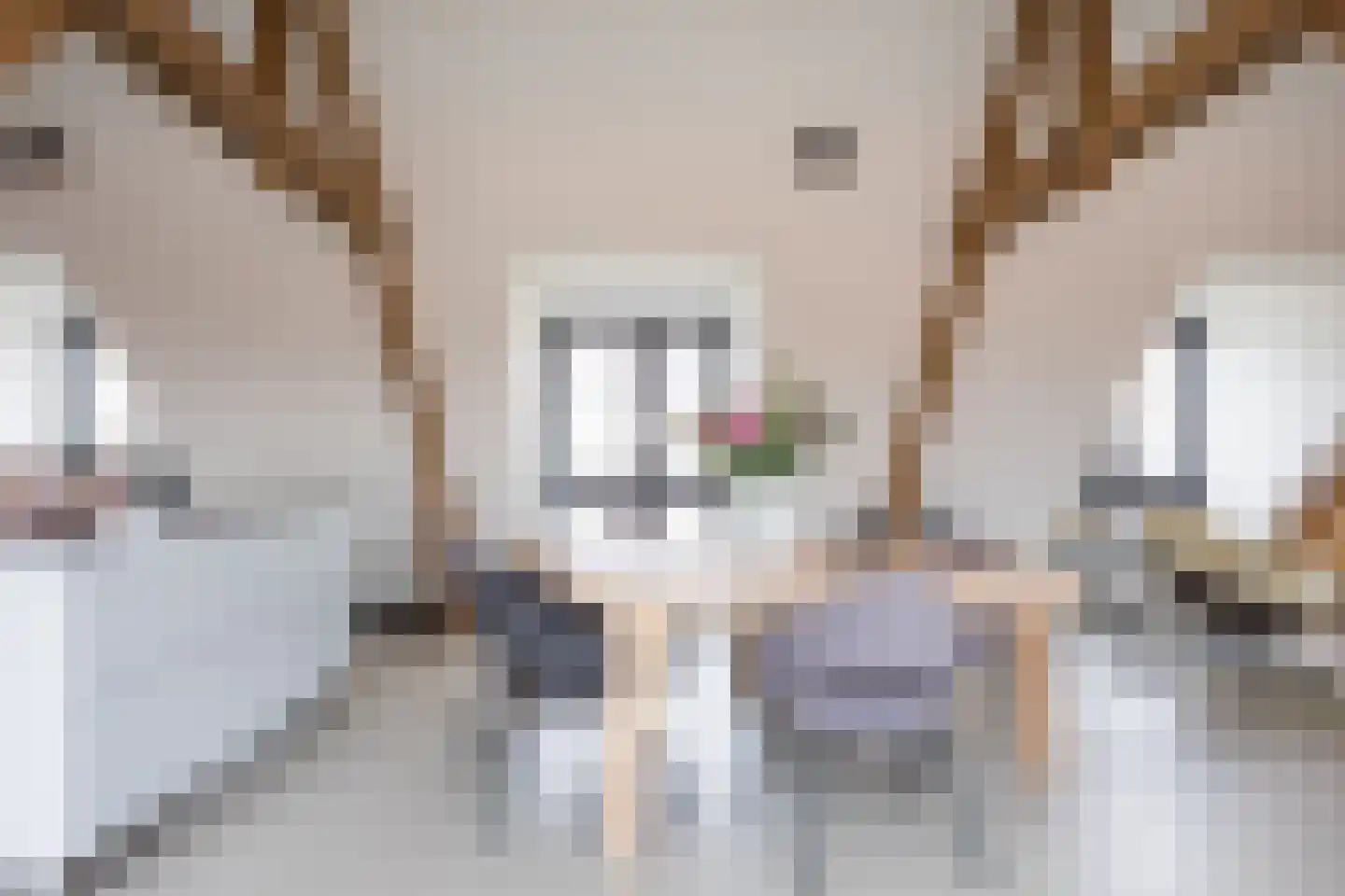 Kerkplein 1 C Ootmarsum thumbnail 15