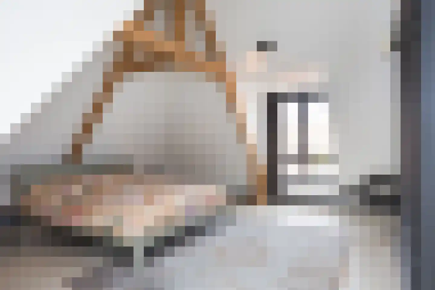 Kerkplein 1 C Ootmarsum thumbnail 21
