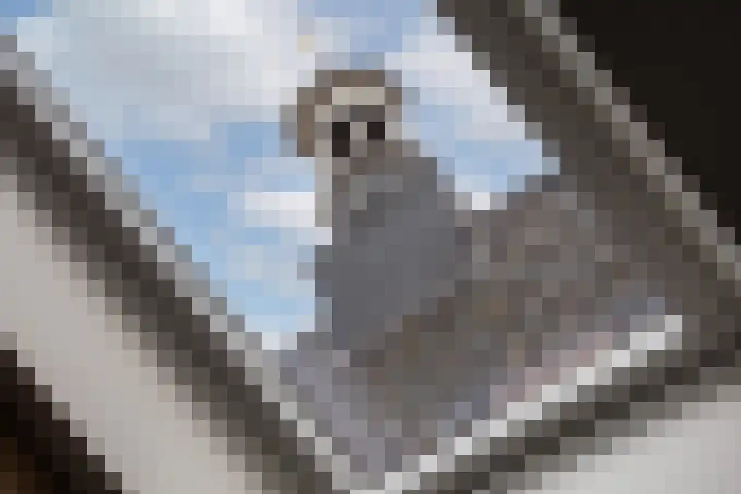 Kerkplein 1 C Ootmarsum thumbnail 26