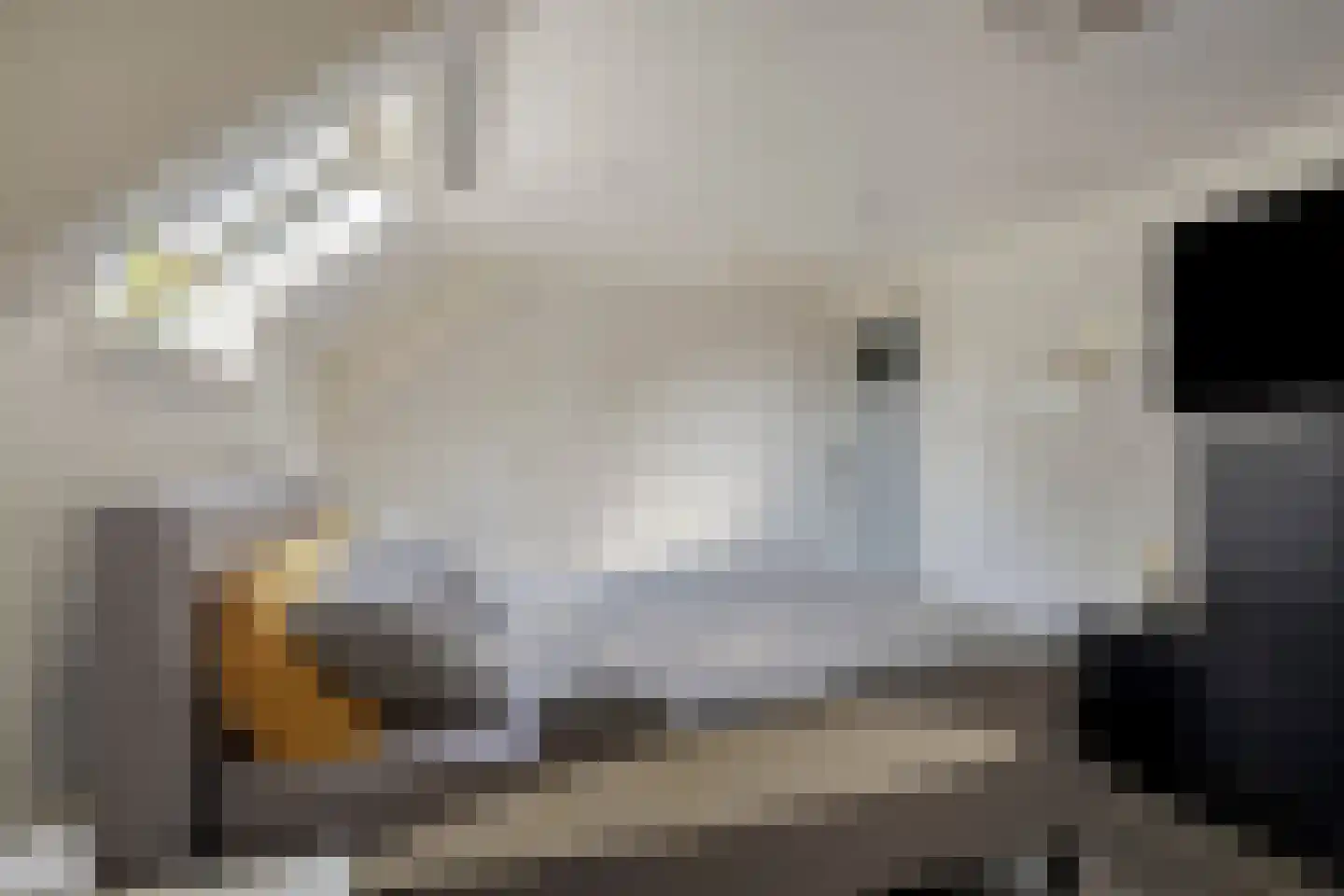 Kerkplein 1 Zeddam thumbnail 43