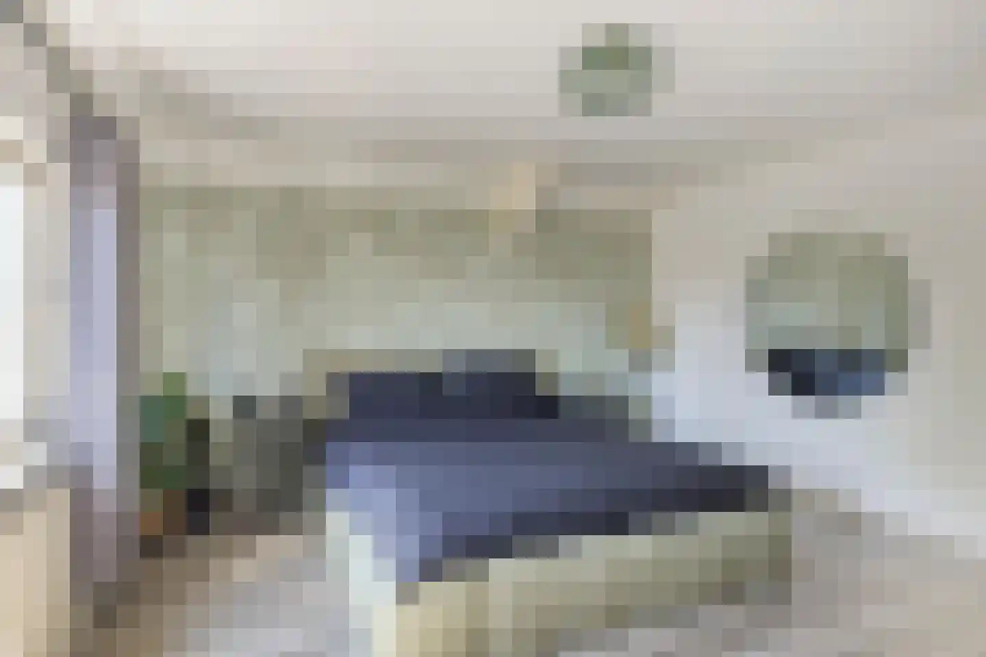 Kerkplein 1 Zeddam thumbnail 46