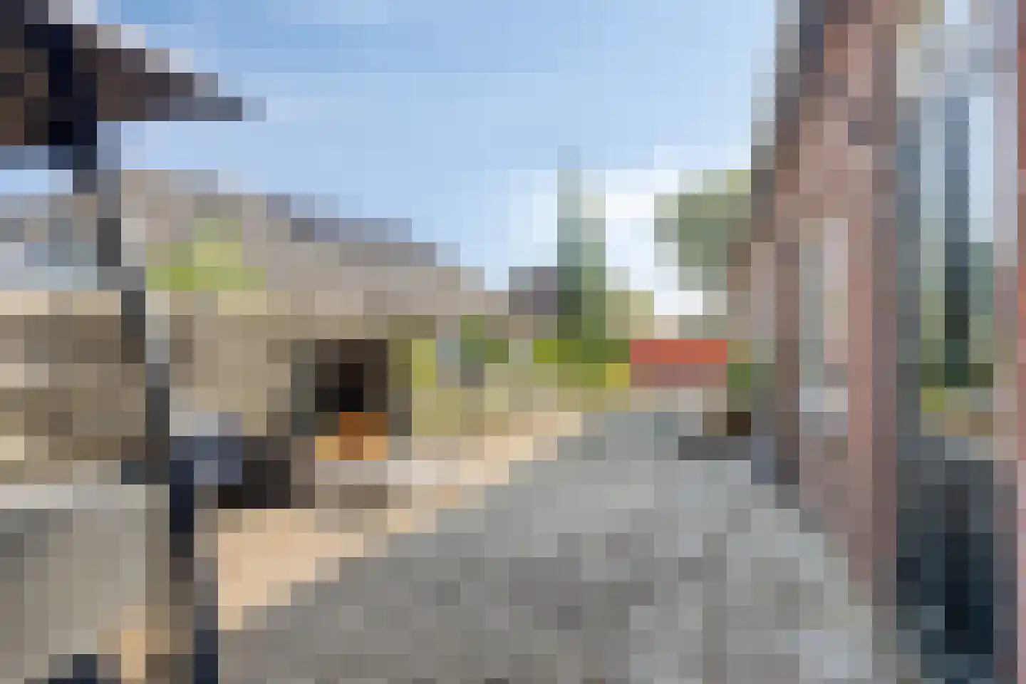Kerkplein 1 Zeddam thumbnail 56