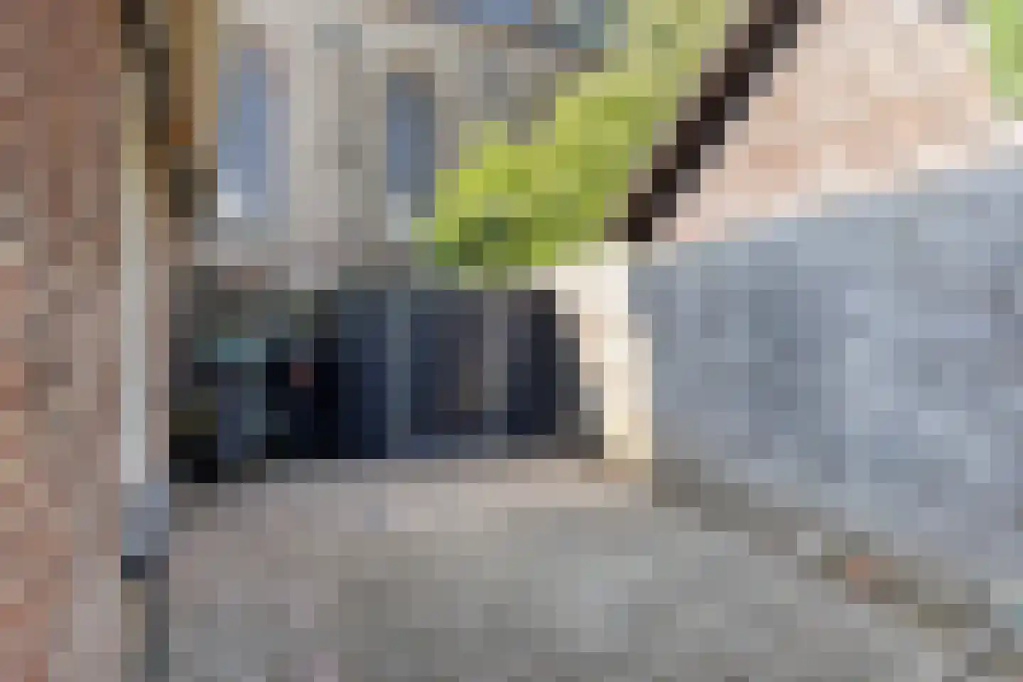 Kerkplein 1 Zeddam thumbnail 57