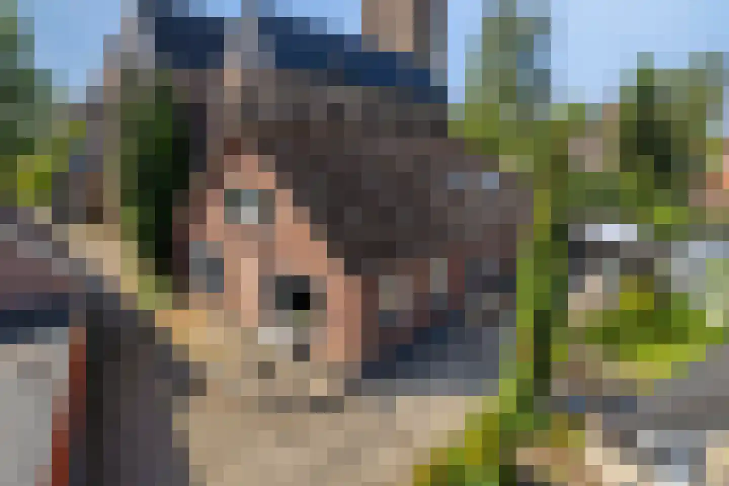 Kerkplein 1 Zeddam thumbnail 61