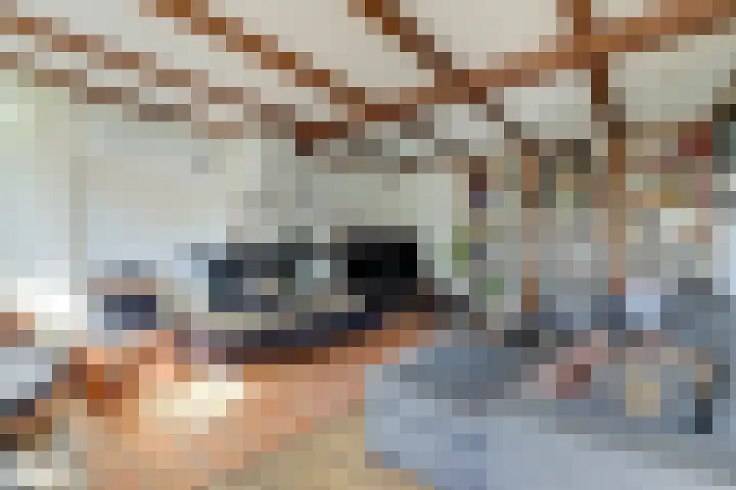 Kerkplein 10 Hendrik-Ido-Ambacht thumbnail 7