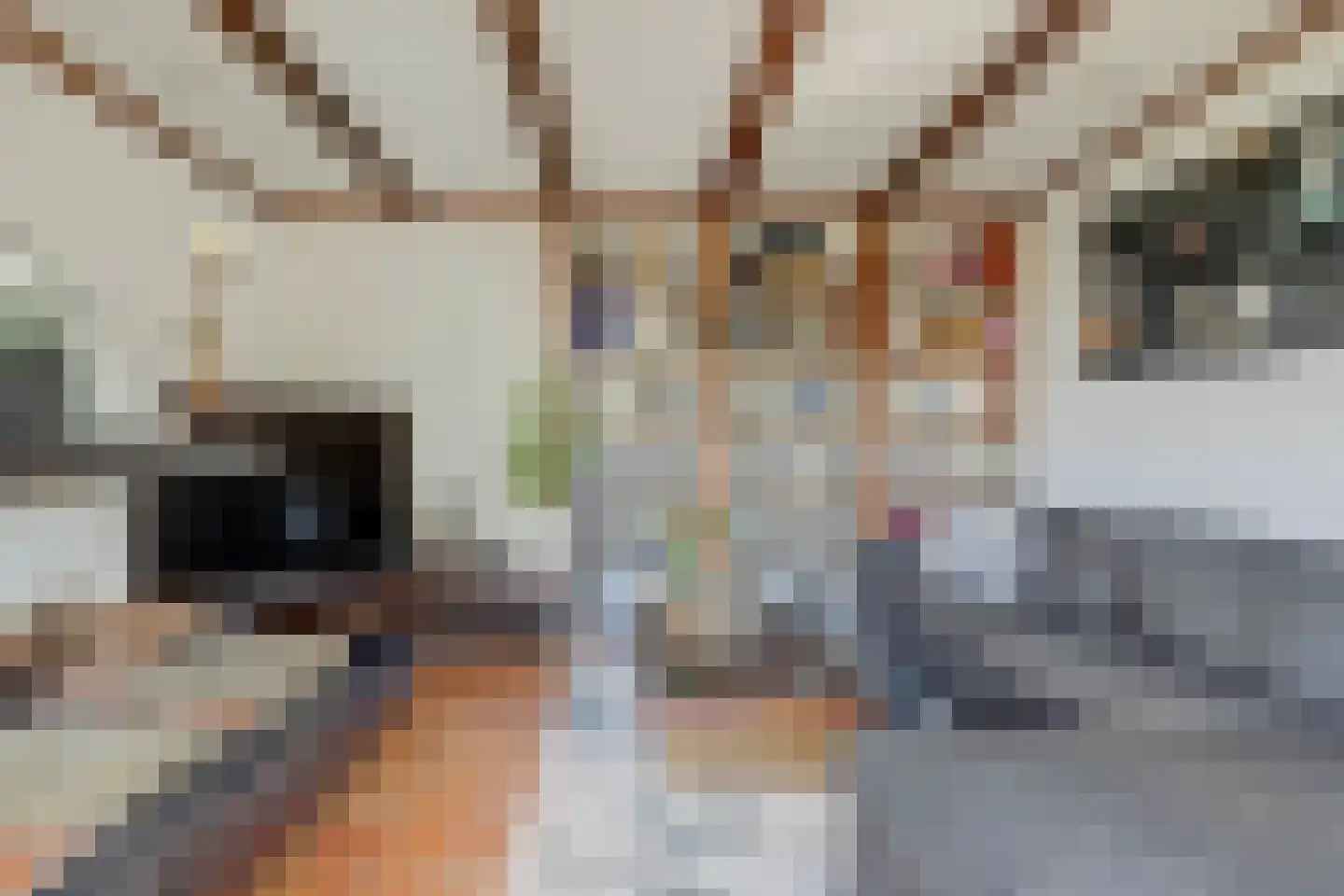 Kerkplein 10 Hendrik-Ido-Ambacht thumbnail 8