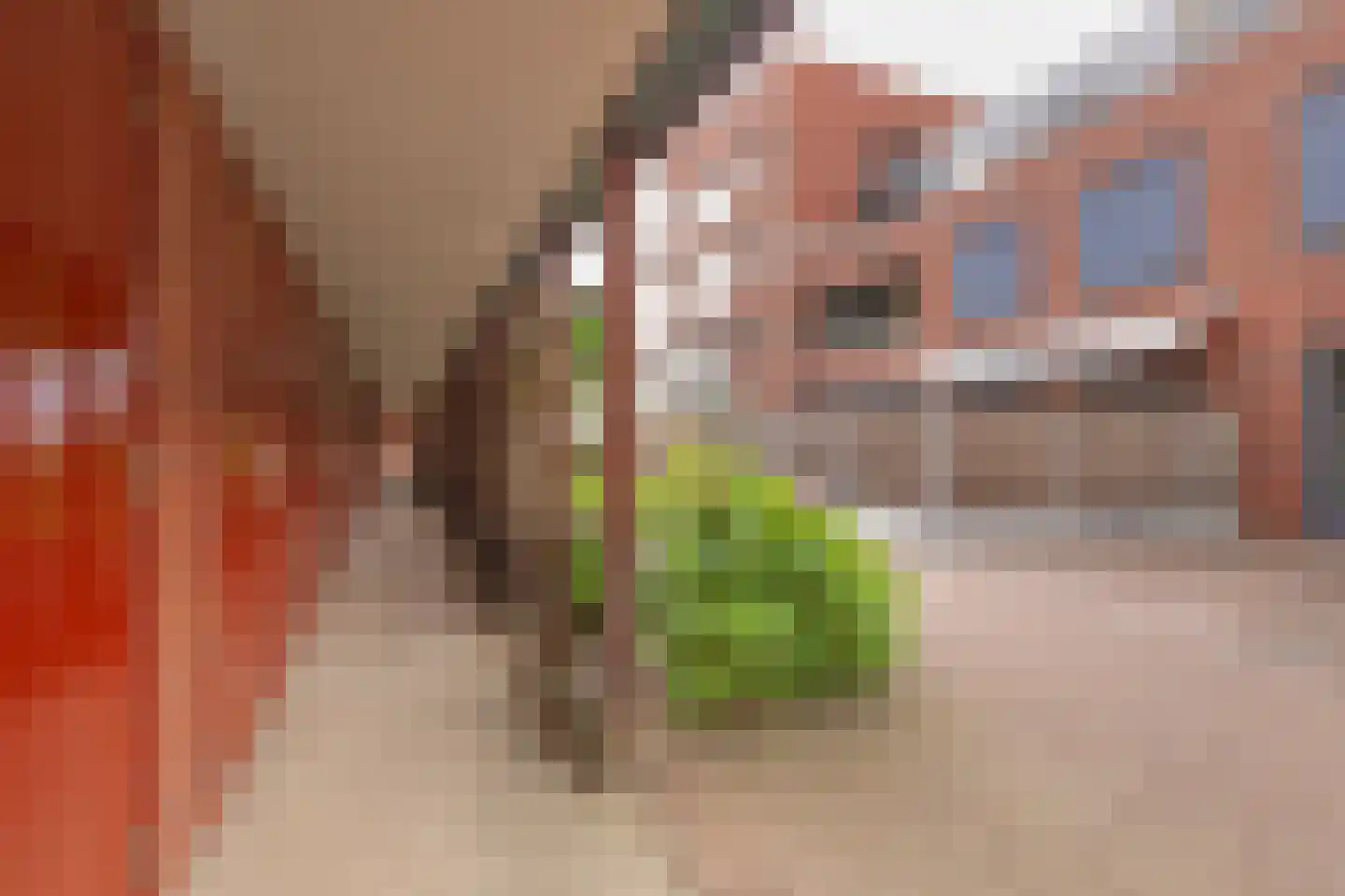 Kerkplein 10 Maasbracht thumbnail 20