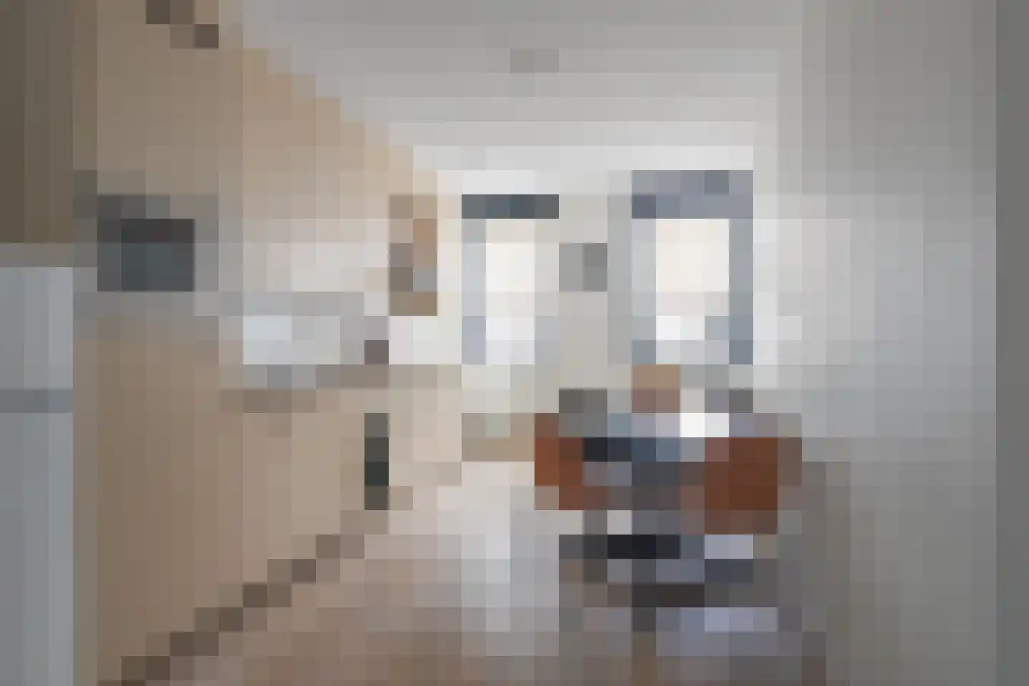 Kerkplein 10 Maasbracht thumbnail 8