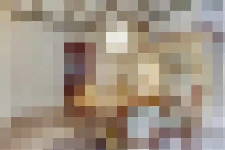Kerkplein 11 Dalfsen thumbnail 13