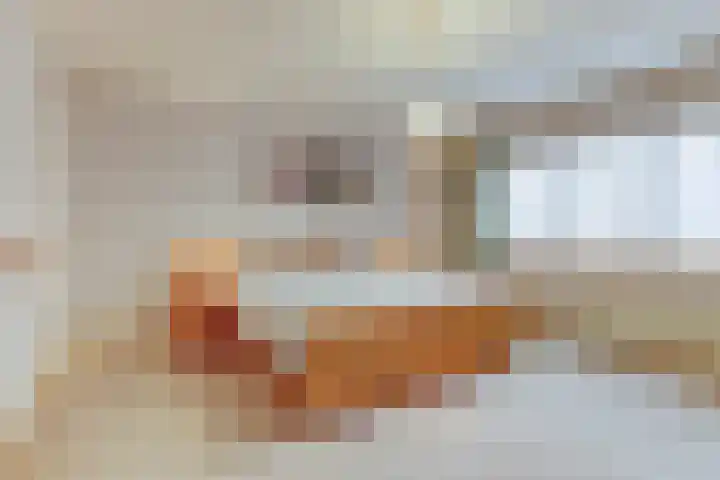 Kerkplein 11 Dalfsen thumbnail 18