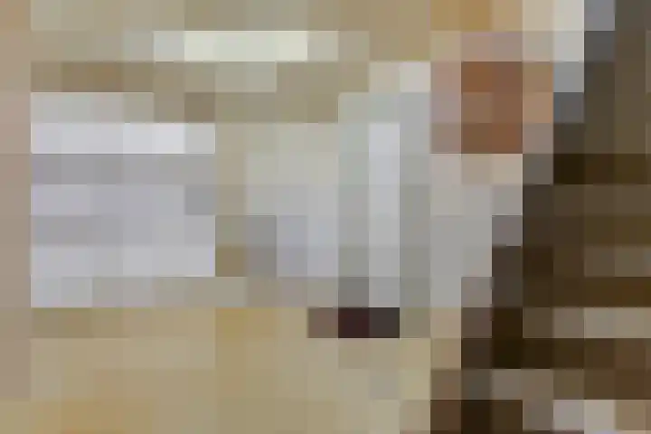 Kerkplein 11 Dalfsen thumbnail 24