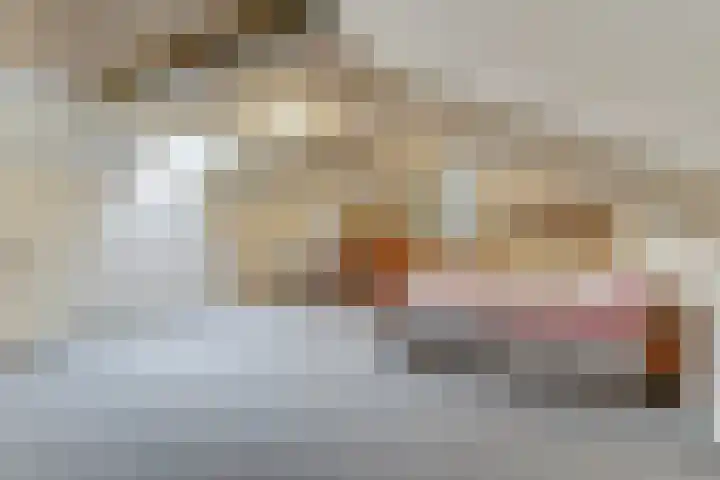 Kerkplein 11 Dalfsen thumbnail 27