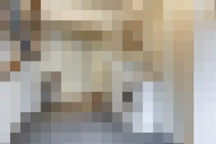 Kerkplein 11 Dalfsen thumbnail 30