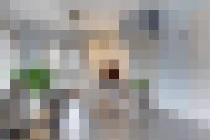 Kerkplein 11 Dalfsen thumbnail 31