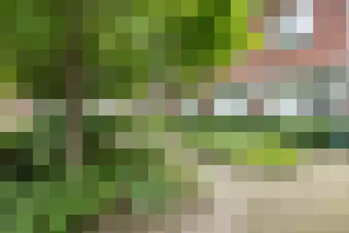 Kerkplein 11 Dalfsen thumbnail 45