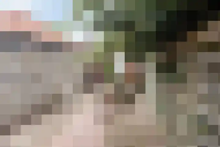 Kerkplein 11 Dalfsen thumbnail 51