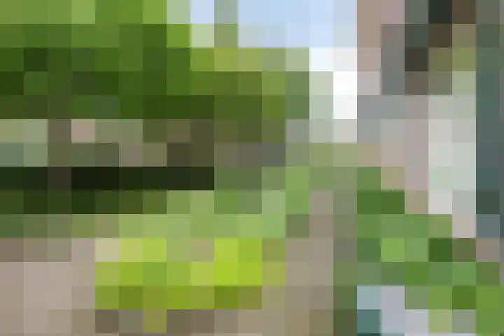 Kerkplein 11 Dalfsen thumbnail 54