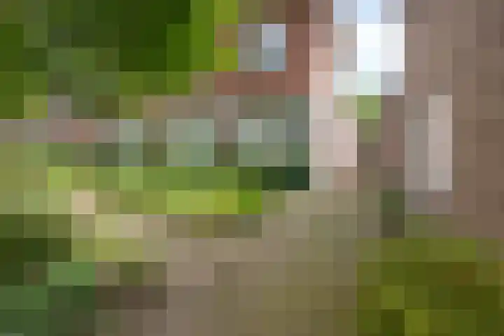 Kerkplein 11 Dalfsen thumbnail 55