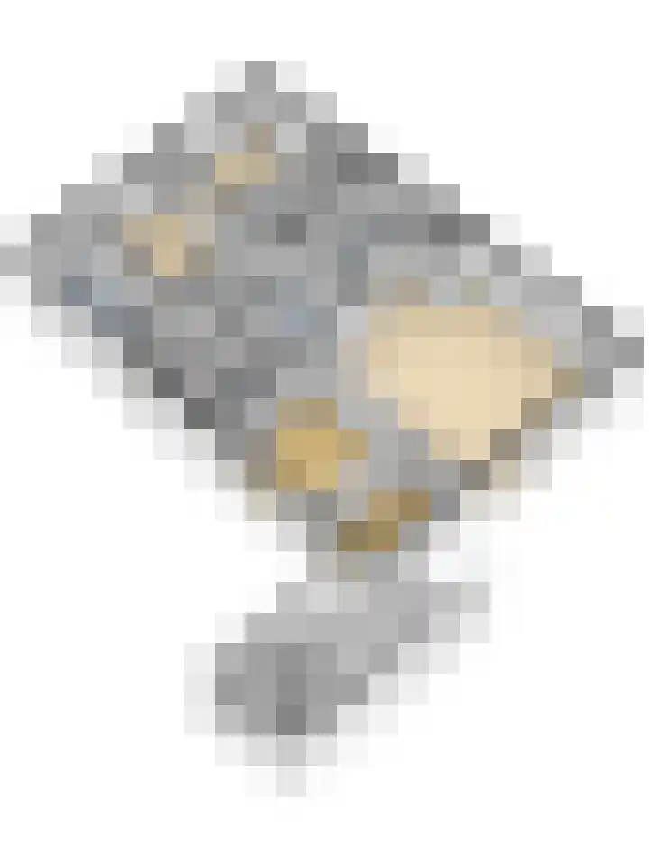 Kerkplein 11 Dalfsen thumbnail 64