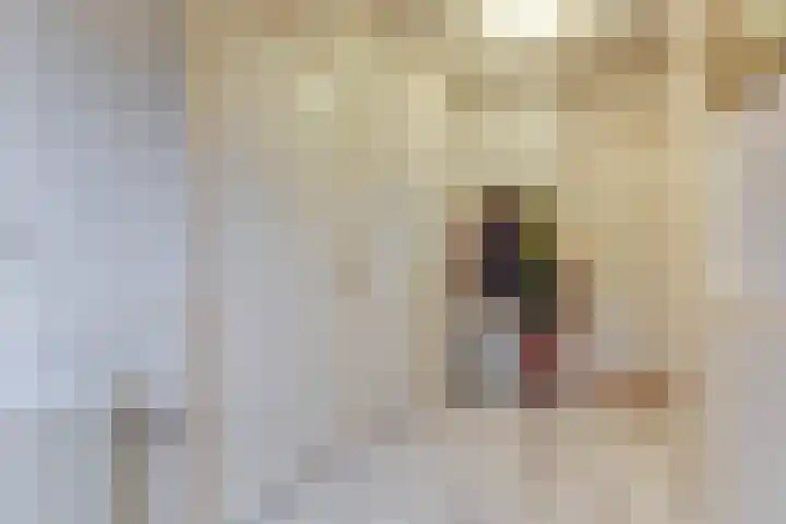 Kerkplein 11 Dalfsen thumbnail 7