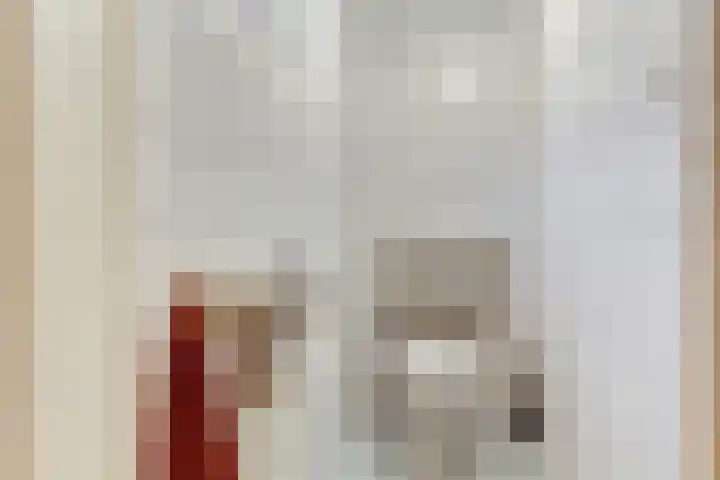 Kerkplein 11 Dalfsen thumbnail 9