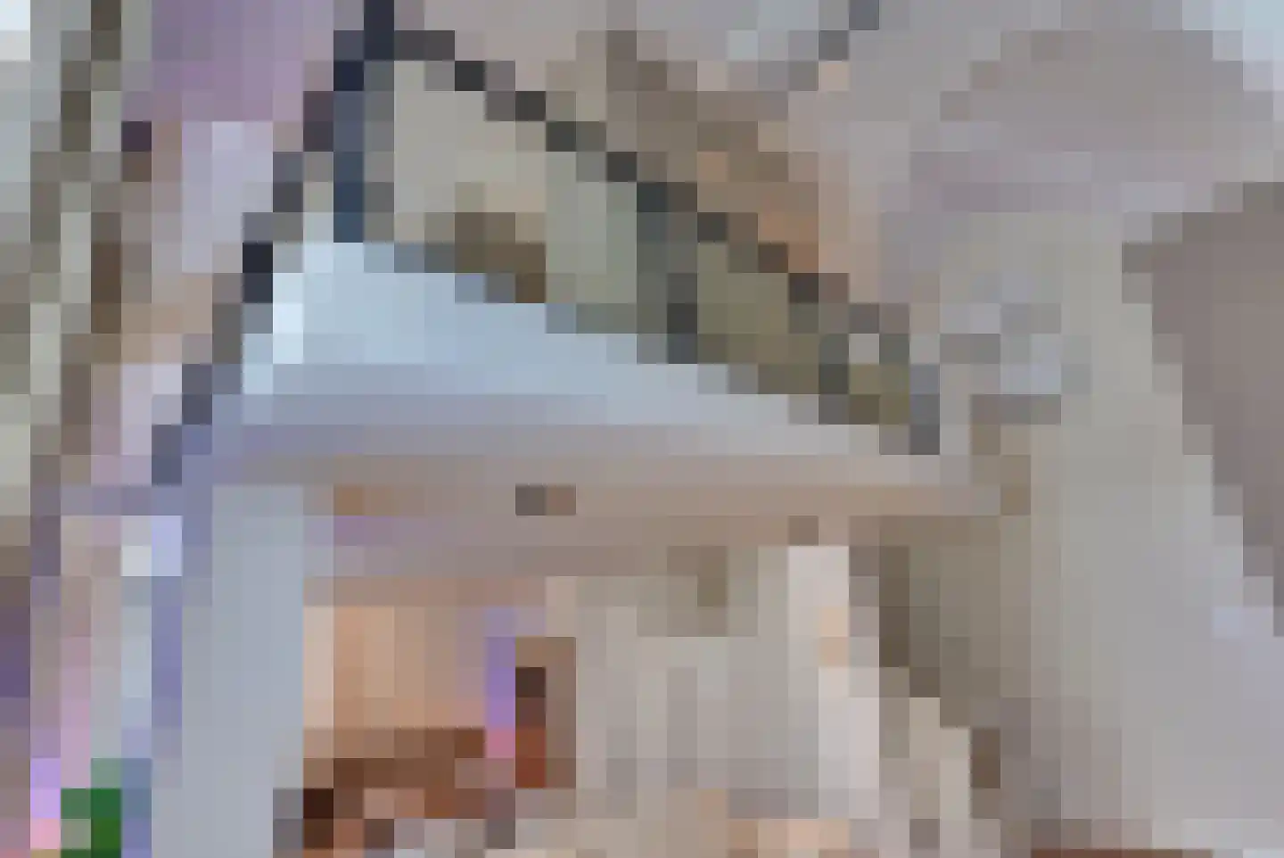 Kerkplein 12 Harderwijk thumbnail 17