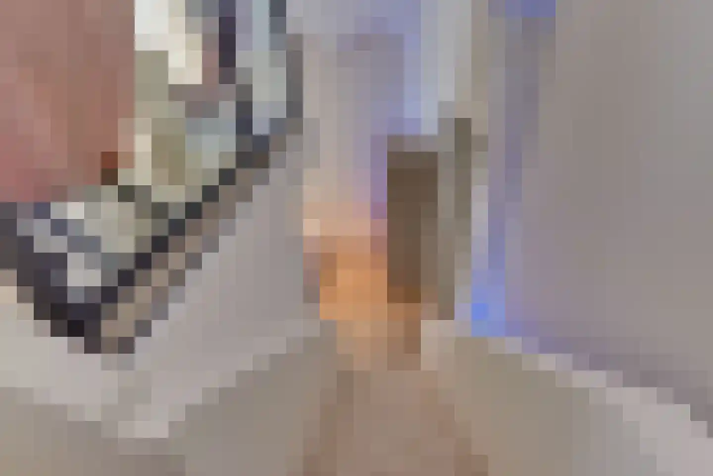 Kerkplein 12 Harderwijk thumbnail 19