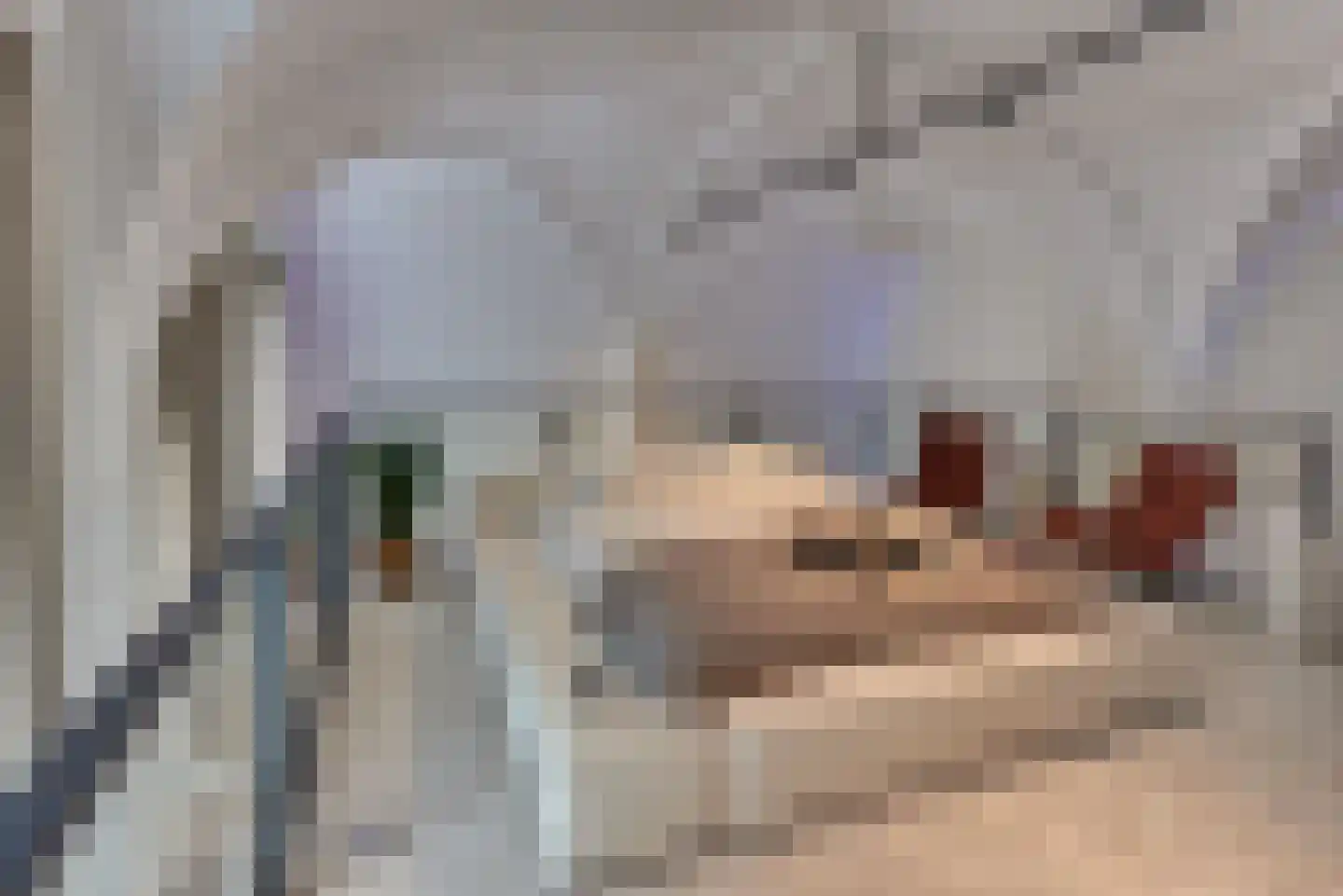 Kerkplein 12 Harderwijk thumbnail 5