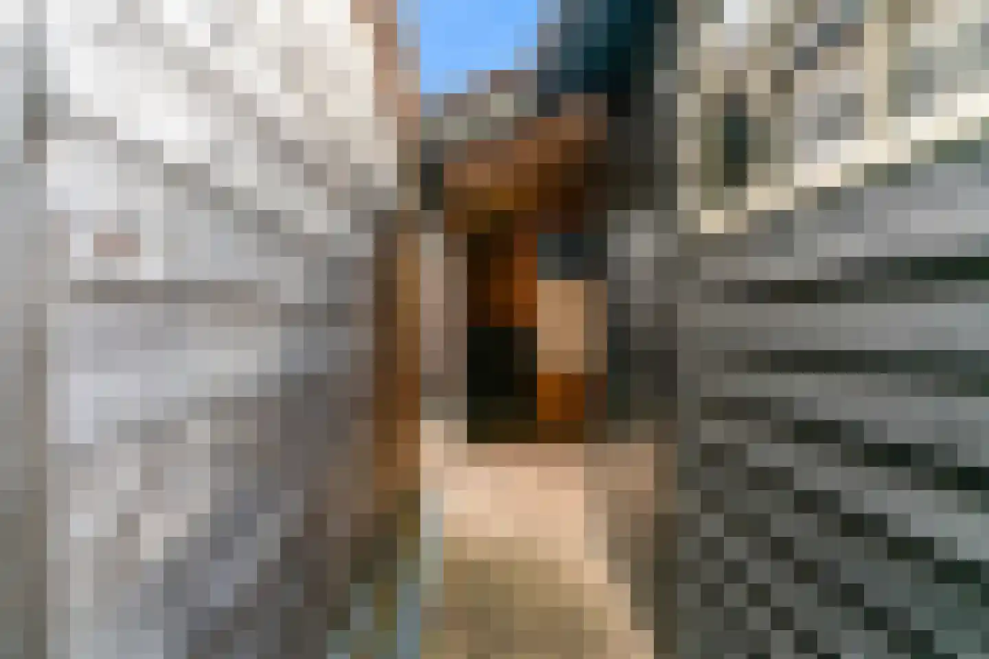 Kerkplein 13 Hoorn thumbnail 8