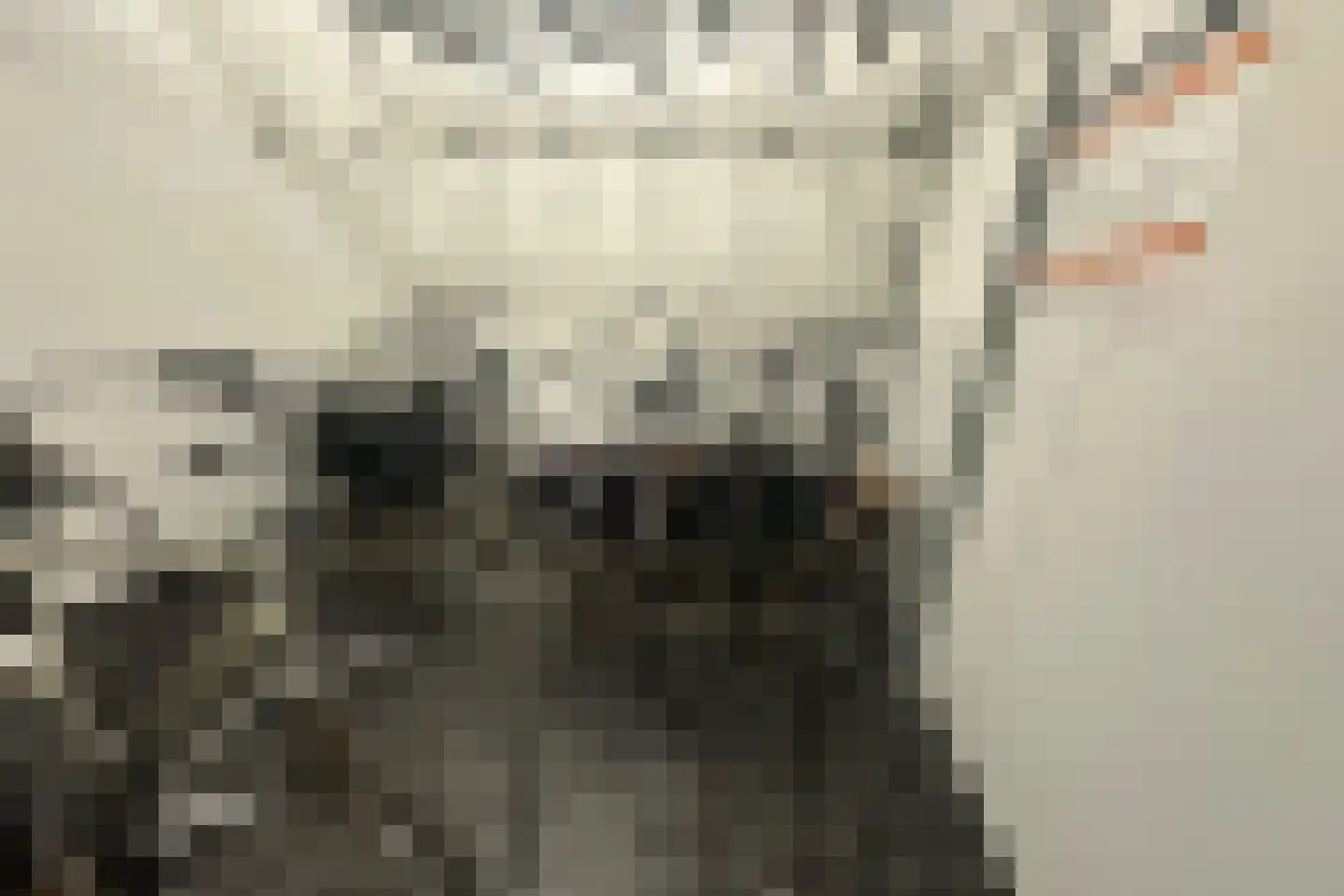 Kerkplein 13 Woerden thumbnail 19
