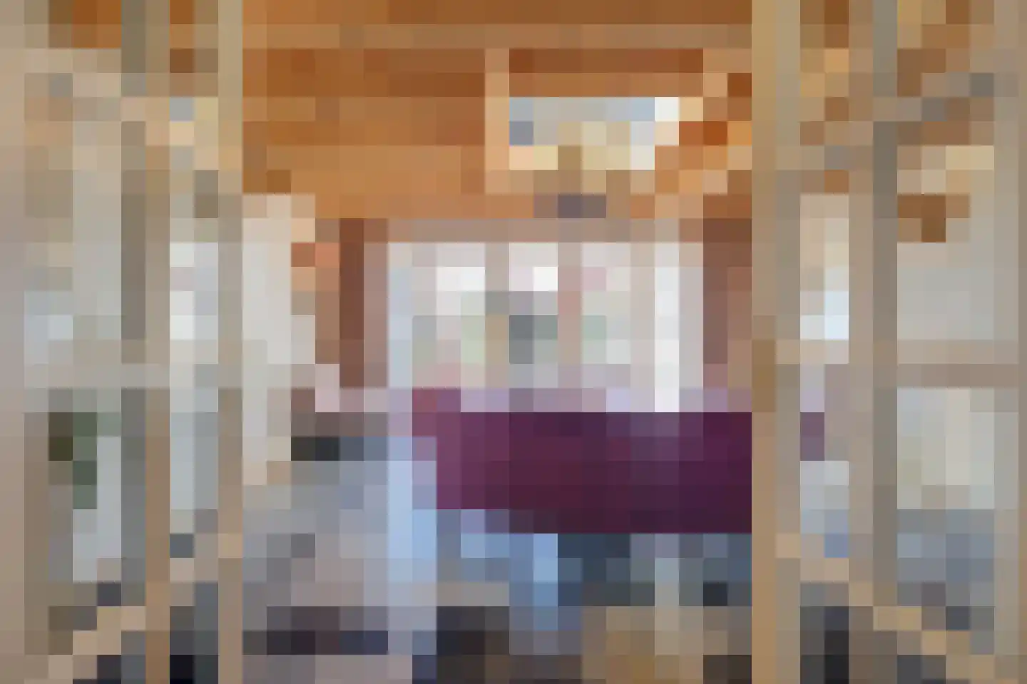 Kerkplein 14 Hippolytushoef thumbnail 13