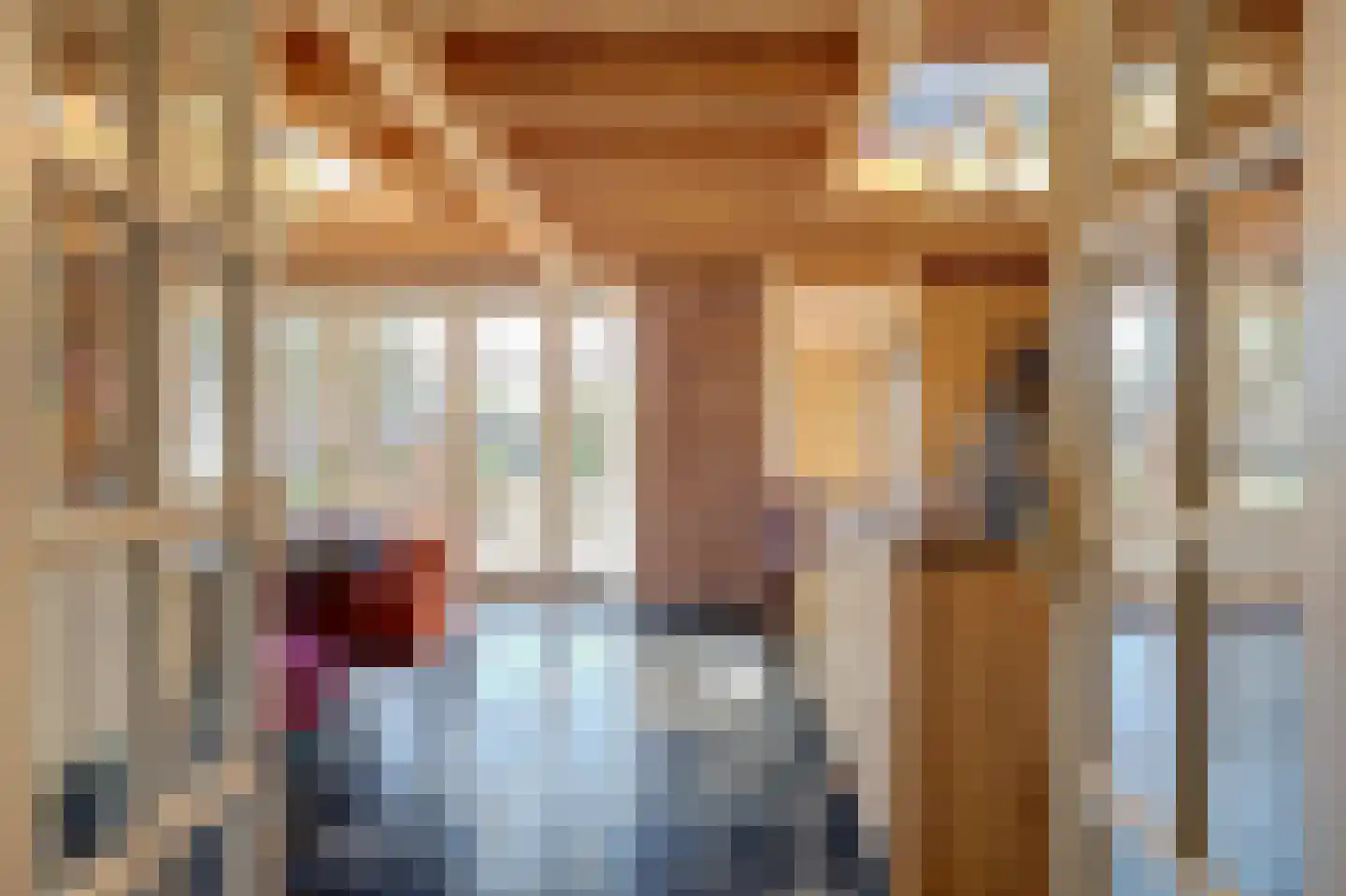 Kerkplein 14 Hippolytushoef thumbnail 15
