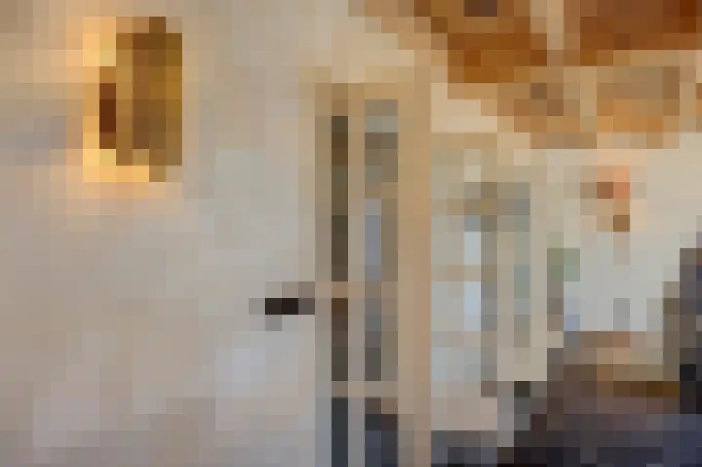 Kerkplein 14 Hippolytushoef thumbnail 16