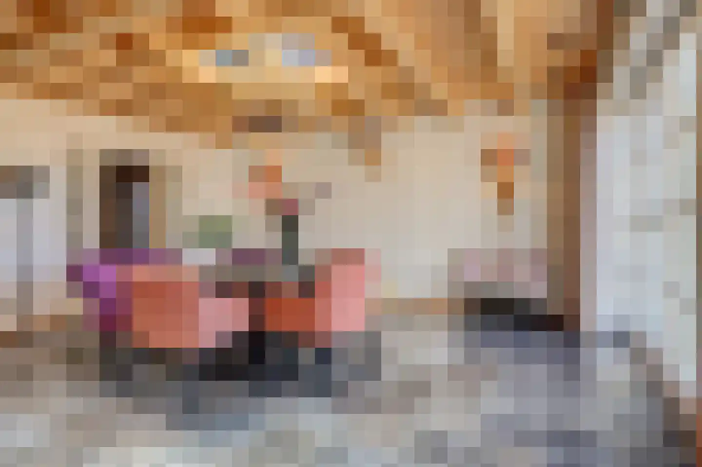 Kerkplein 14 Hippolytushoef thumbnail 17